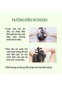 Dầu Gội Thảo Dược ECOCARE PREMIUM 300ml Đạt Chuẩn CGMP, Dầu Gội Xả Thiên Nhiên Sạch Gàu, Phục Hồi Hư Tổn