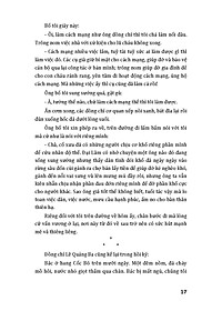 product-img-12
