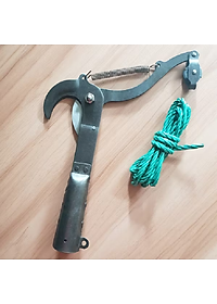 Đầu kéo cắt tỉa cành cây trên cao 