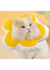product-img-23