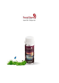 product-img-3