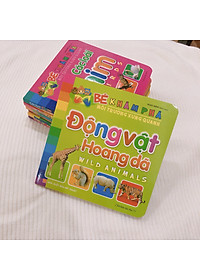Sách: Combo Sách Bé Khám Phá Môi Trường Xung Quanh - Trọn Bộ