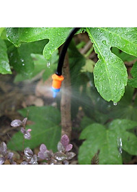 bộ 100 béc tưới phun mưa tưới gốc chống côn trùng