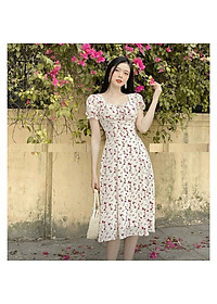 Đầm xòe họa tiết hoa nhí xinh xắn - có lớp lót, nhiều size, form dáng chuẩn, dễ mặc dạo phố, đi làm hay du lịch đẹp