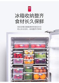 Combo 04 hộp nhựa cao cấp bảo quản thực phẩm Nakaya hình chữ nhật (Full size) - Nội địa Nhật Bản