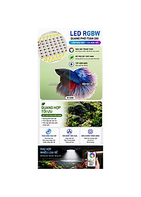 product-img-6