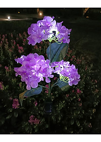 product-img-10