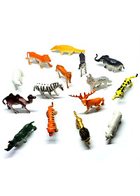 product-img-5