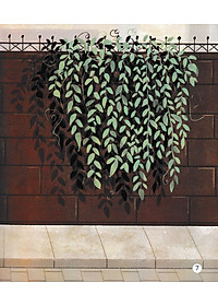 product-img-7