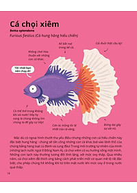 product-img-13