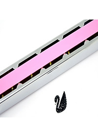 Kèn Harmonica Tremolo 24 lỗ Swan Inconceivable  SW24 Cơ Bản Key C