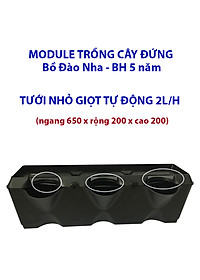 product-img-10
