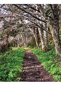 Drawdown: The Most Comprehensive Plan Ever Proposed To Reverse Global Warming