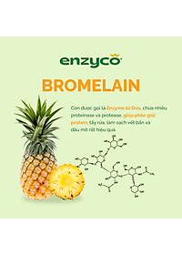 Nước lau đa năng sinh học ENZYCO 475ml - Chiết xuất Bồ hòn và Enzyme Dứa