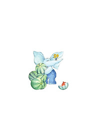 product-img-6