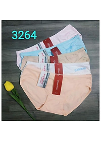 Combo 10 chiếc quần lót cotton trơn co dãn tốt fom từ 45-60kg