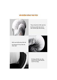 Găng Tay Boxing Chính Hãng FED