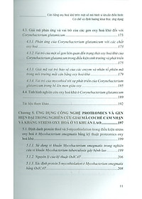 product-img-8
