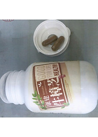 Ngưu chương chi - Antrodia cinnamomea