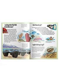 Sách Em Muốn Biết Vì Sao Cá Mọc Chân Và Những Câu Hỏi Khác Về Thời Tiền Sử