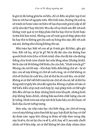 product-img-11