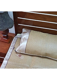 Chiếu điều hòa cao cấp xuất Nhật kích thước 1m6 x 2m nằm được 2 mặt (bao gồm túi đựng + 2 vỏ gối)