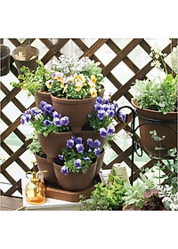 Chậu trồng cây cảnh 03 khoang Yamada 4L làm từ nhựa PP cao cấp cứng cáp, độ bền cao - nội địa Nhật Bản