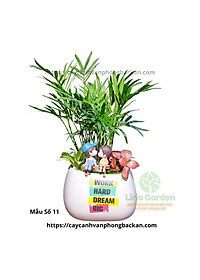 product-img-5