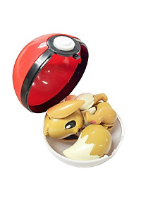 product-img-5