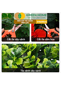 Kéo Cắt Cành GreenHome, D16,5xR4,5cm, Inox, Mũi Nhọn, Siêu Bén, Không Gỉ, Có Khoá An Toàn, Nhiều Màu Lựa Chọn