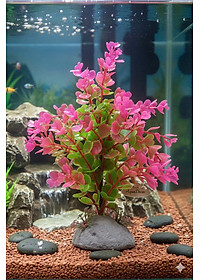 Cây Nhựa Trang Trí Bể Cá Thủy Sinh Lớn Tím Hồng Cao 20cm (Mã PK01)