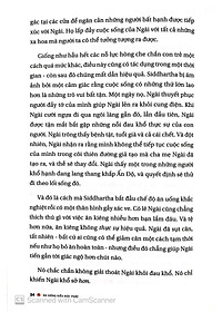 product-img-11