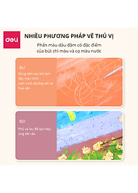 Bút Sáp Dầu Chuyên Nghiệp Deli - Hộp Giấy - 24/36 Màu - 72087 / 72088