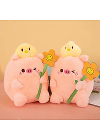 product-img-6