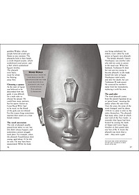 product-img-8