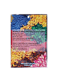 Bộ 2 Gói Hạt Giống Ngò Hạt Lớn Pháp Phú Nông PNHG1417 (20g / Gói)