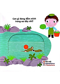 product-img-5