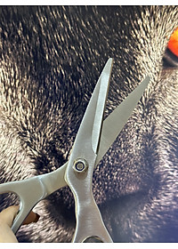 Kéo đa năng DandiHome thép cao cấp giữ độ bén tốt