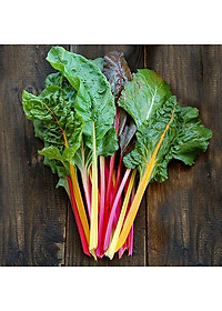 Hạt Giống Cải Cầu Vồng Rado 56