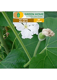 Hạt Giống Bầu Hồ Lô Greenhome, Gói 1g, Dễ Trồng Quanh Năm, Nảy Mầm Cao, Thu Hoạch Nhanh, Năng Suất Cao T11