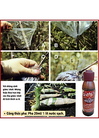 product-img-6