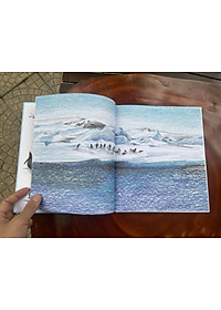 TỚ KHÔNG BIẾT BAY -  I CAN FLY -