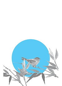 product-img-5