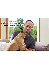 Vỉ 10 viên Inflacam kháng viêm, giảm đau trên chó (Virbac)