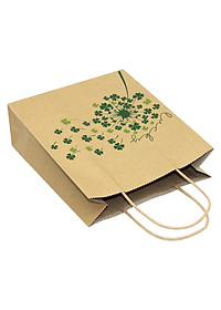 Túi Giấy Kraft - 22 x 25 x 8 cm - The Sun 02