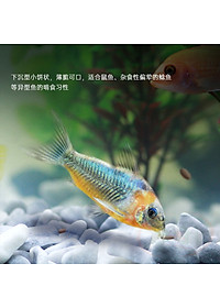 Thức ăn cá Biozym Pellet Feed Food viên chìm tầng đáy cá chuột pleco thủy sinh