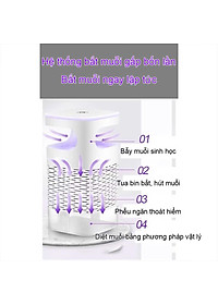 product-img-11