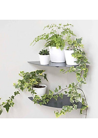 Kệ góc tường nhà bếp 24 (set 2)