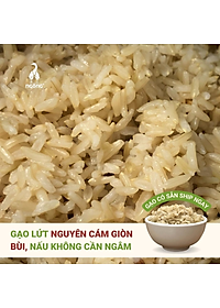 Gạo Ngỗng Sinh Thái ST25 - Gạo Sạch Ruộng Rươi Tôm Gói 700gr