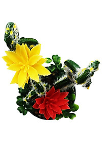 product-img-2